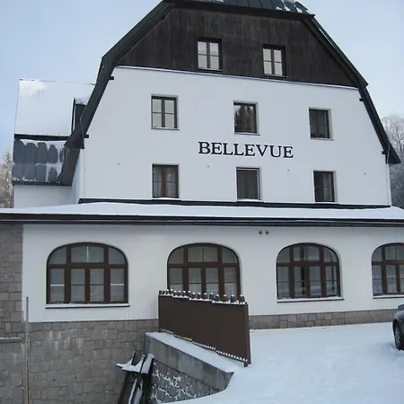 Bellevue - Apartment