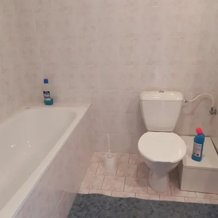 Apartment Bellevue -